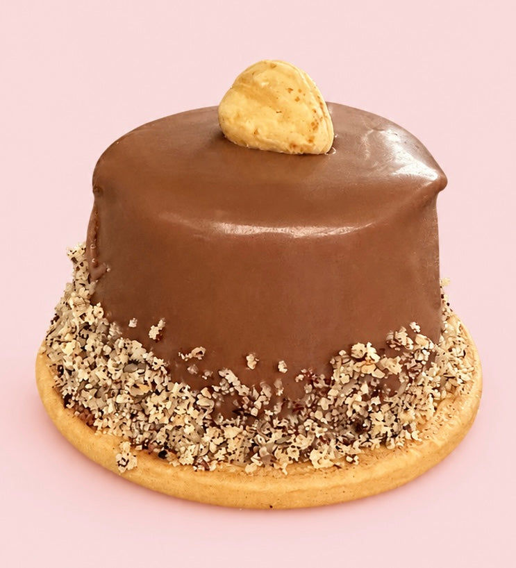 Mini cheesecake domes